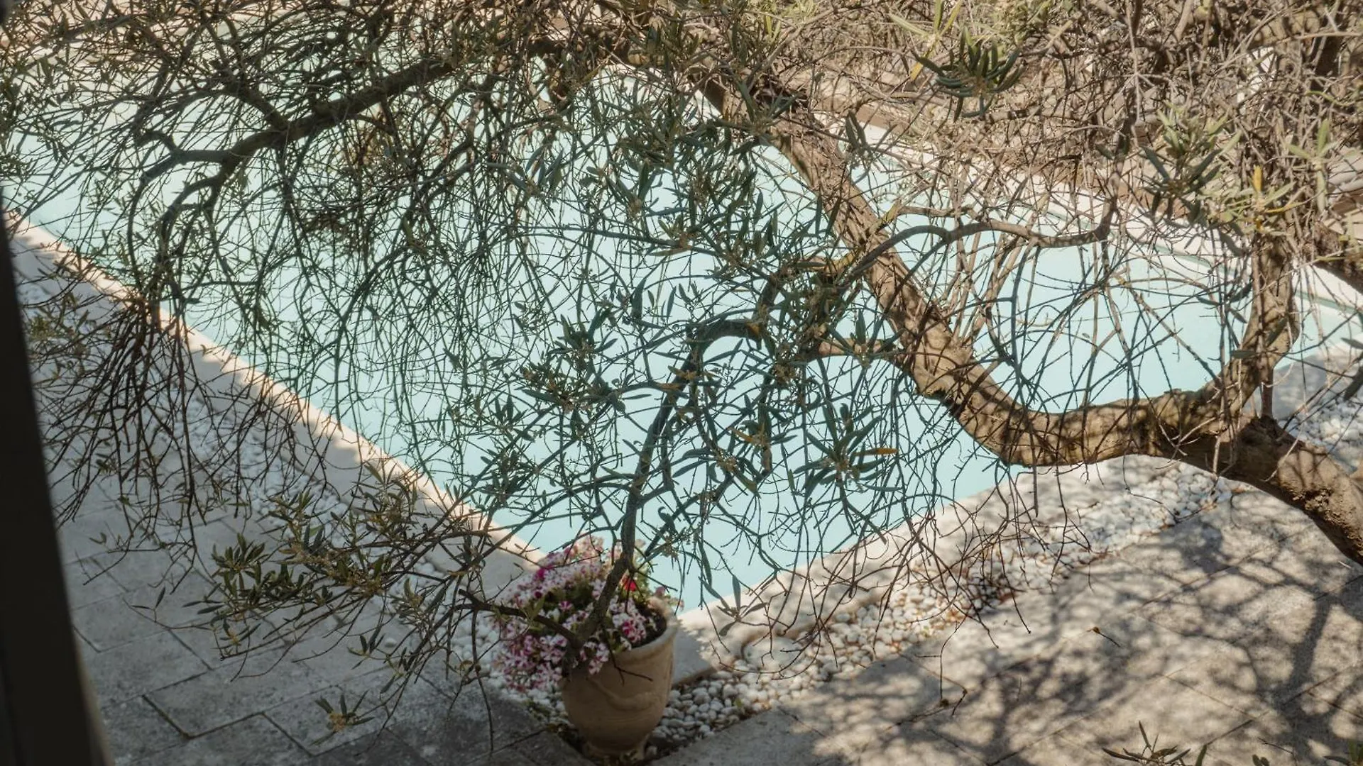 Hotel Les Magnanarelles Maussane-les-Alpilles